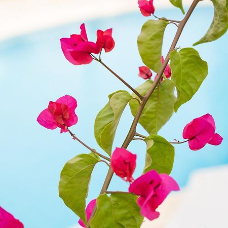 Apartamentos Los Tilos Peguera Ngoại thất bức ảnh
